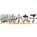 櫻桃小丸子 (HAPPY WARLD)