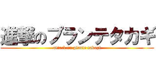 進撃のプランテタカギ (attack on plante takagi)
