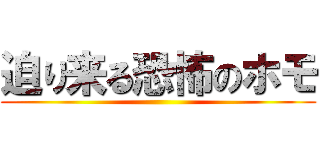 迫り来る恐怖のホモ ()