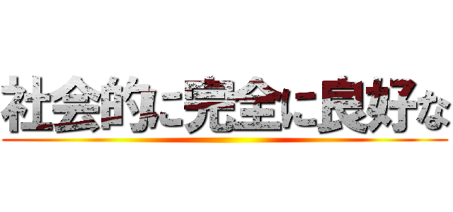 社会的に完全に良好な ()