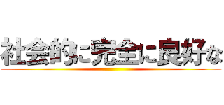 社会的に完全に良好な ()