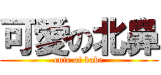 可愛の北鼻 (cute of babe)