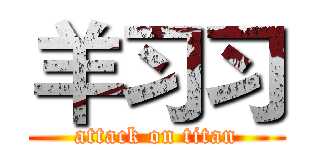 羊习习 (attack on titan)