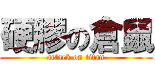 硬膠の倉鼠 (attack on titan)