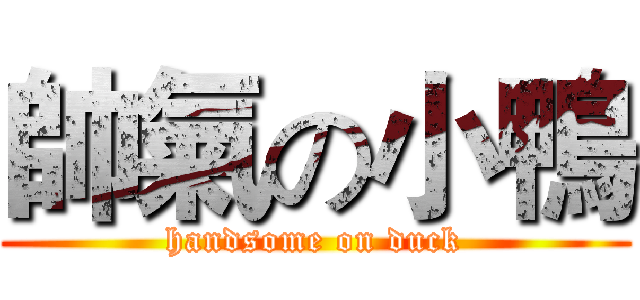 帥氣の小鴨 (handsome on duck)