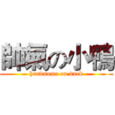 帥氣の小鴨 (handsome on duck)