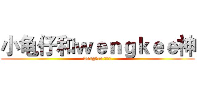 小龟仔和ｗｅｎｇｋｅｅ神 (wengkee !!!!)