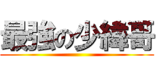 最強の少緯哥 ()