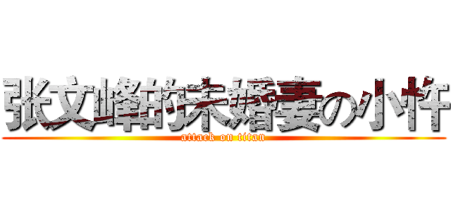 张文峰的未婚妻の小忤 (attack on titan)