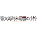 张文峰的未婚妻の小忤 (attack on titan)