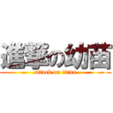 進撃の幼苗 (attack on titan)