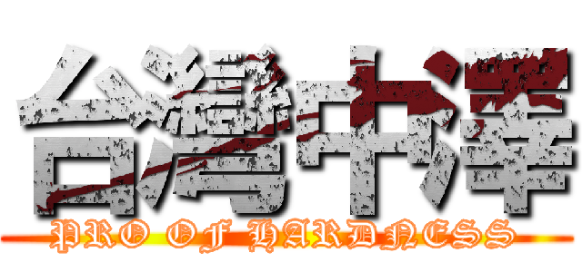 台灣中澤 (PRO OF HARDNESS)