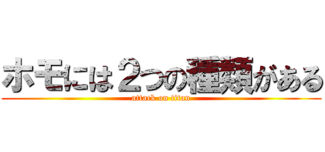 ホモには２つの種類がある (attack on titan)