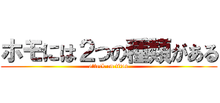 ホモには２つの種類がある (attack on titan)