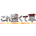 これ強くて草 ()