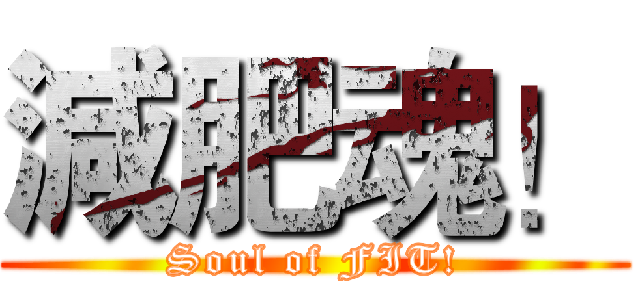 減肥魂！ (Soul of FIT!)