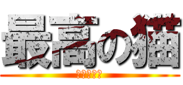 最高の猫 (猫愛護団体)