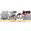 最高の猫 (猫愛護団体)