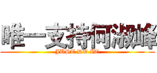 唯一支持何淑峰 (JUST DO IT)