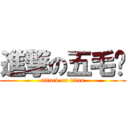 進撃の五毛军 (attack on titan)