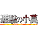 進擊の小莫 (Little Mo)