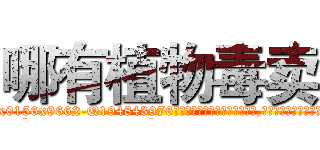哪有植物毒卖 (哪有植物毒卖【电.话186x0156x9662-Q194843976林氏药业】我们做的是长期生意,靠的是老客户长期支持
参考消息网2月20日报道 韩媒称，“剩女多、离婚率高的城市，房价一定会上涨。”这是中国经济学家金岩石2016年12月参加在上海举行的房地产相关论坛时说的话。
)