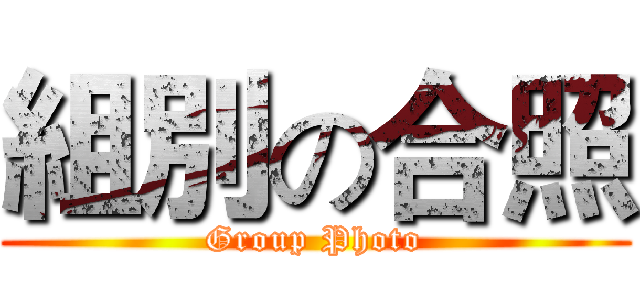 組別の合照 (Group Photo)