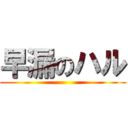 早漏のハル ()