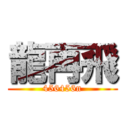 龍再飛 (456456n)