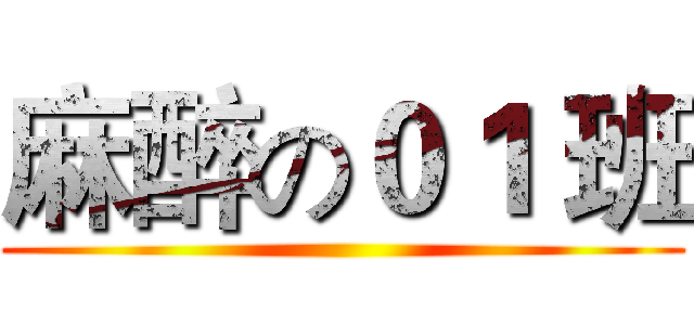 麻醉の０１ 班 ()