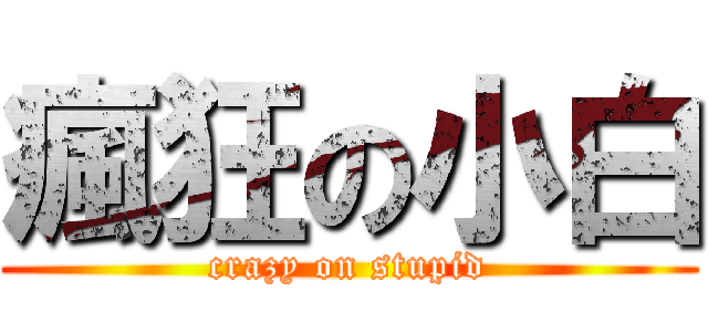 瘋狂の小白 (crazy on stupid)