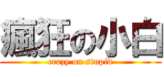 瘋狂の小白 (crazy on stupid)