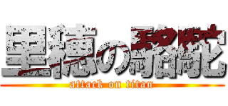 里穂の駱駝 (attack on titan)