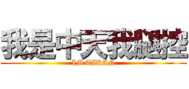 我是中天我腿控 (IM TIKAN)