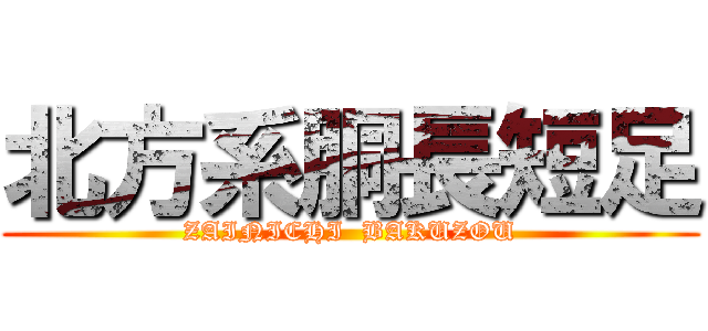 北方系胴長短足 (ZAINICHI  BAKUZOU)