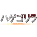 ハゲゴリラ (nick name)