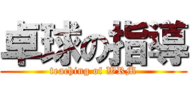 卓球の指導 (teaching of WRM)