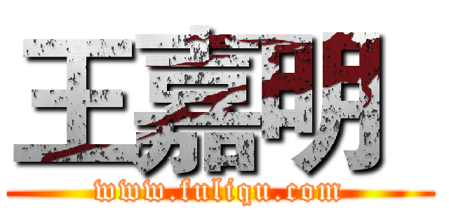 王嘉明
 (www.fuliqu.com)