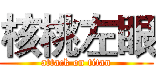 核桃左眼 (attack on titan)