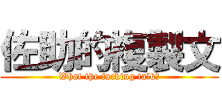 佐助的複製文 (What the fucking talk?)