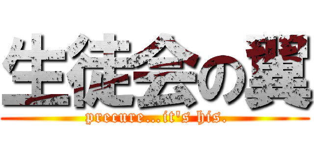 生徒会の翼 ( precure…it's his.)