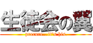 生徒会の翼 ( precure…it's his.)