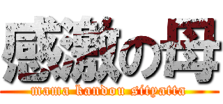 感激の母 (mama kandou sityatta)