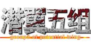 潜翼五组 ( group5 of potential wing)