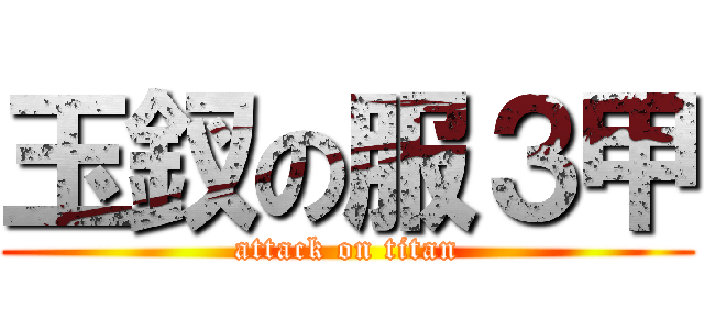 玉釵の服３甲 (attack on titan)