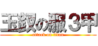 玉釵の服３甲 (attack on titan)