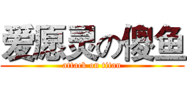 爱愿灵の傻鱼 (attack on titan)