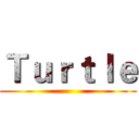 Ｔｕｒｔｌｅ ()