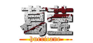 葛莹 (hurricane)