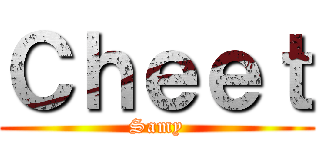 Ｃｈｅｅｔ (Samy)
